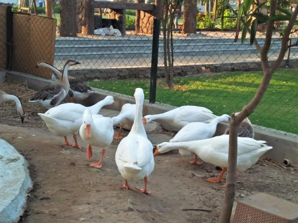 Royal Club & Resort Ахмедабад Экстерьер фото